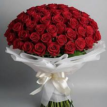 Букет 101 Красная роза Блэк Мэджик в Индустрие