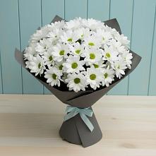 Букет цветов из:  Хризантемы #REPLACE_PRED# Индустрие