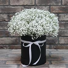 Цветочная композиция из Гипсофила в шляпной коробке в Индустрие