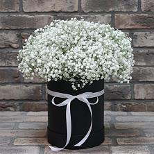 Цветочная композиция из Гипсофила в шляпной коробке в Индустрие